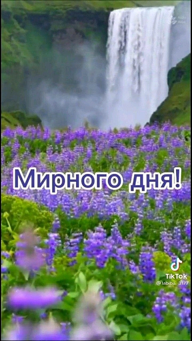 Сергій Фрешчепкін on we.ua