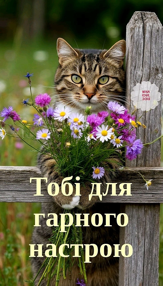 на we.ua