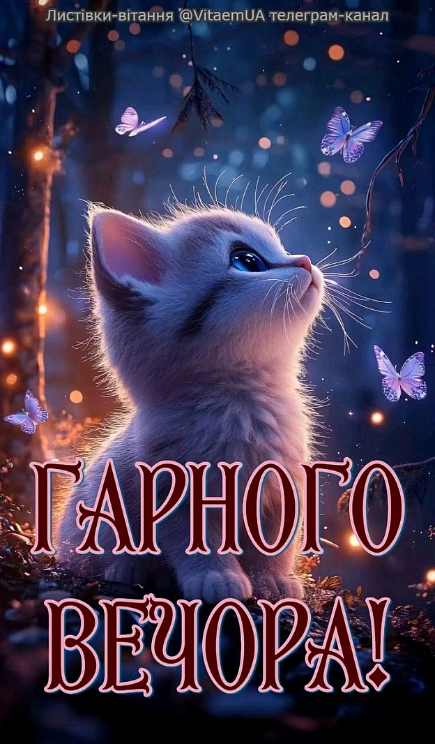 на we.ua