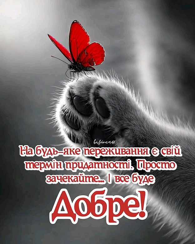 на we.ua