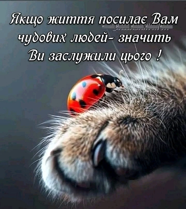 на we.ua