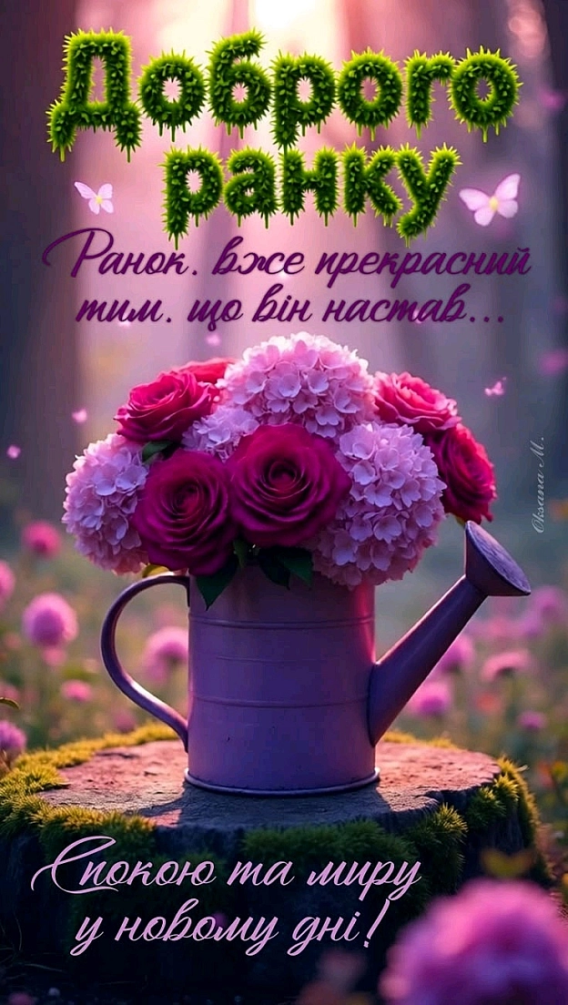 на we.ua