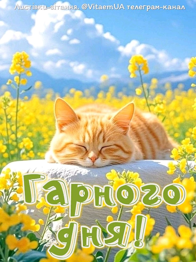 на we.ua