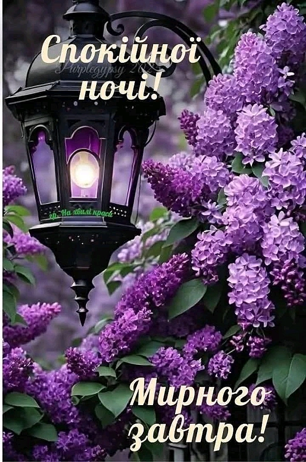 на we.ua