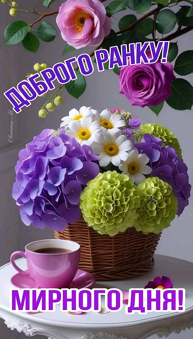 на we.ua