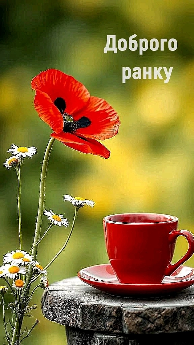 на we.ua
