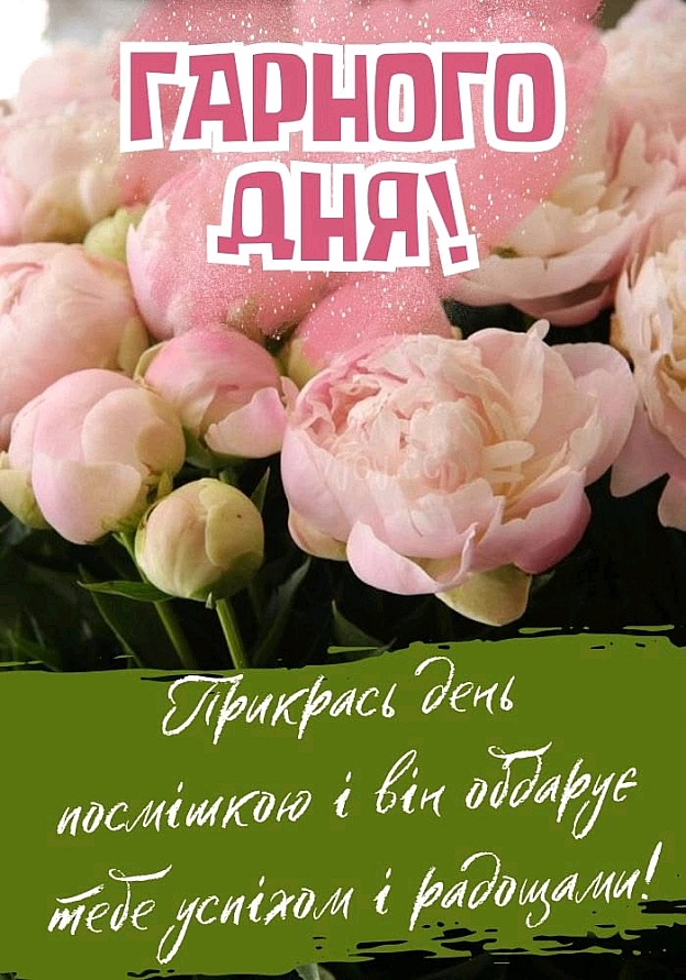 на we.ua