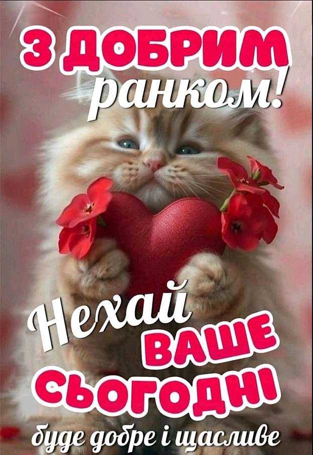 на we.ua