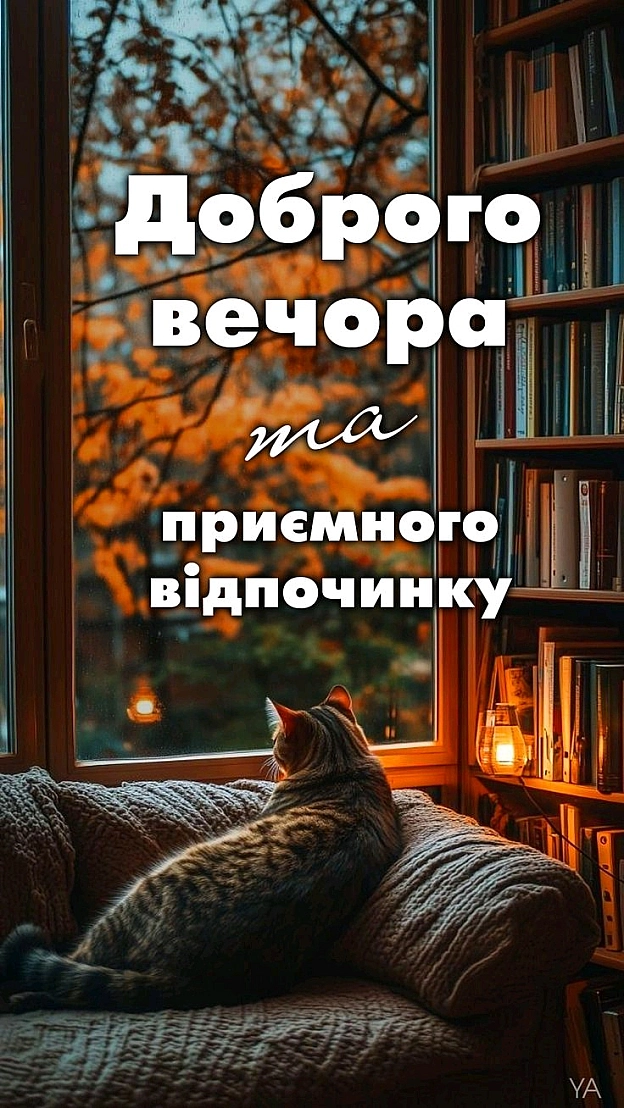 на we.ua