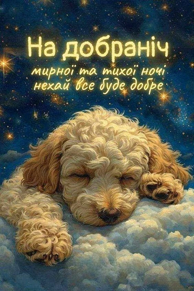 на we.ua