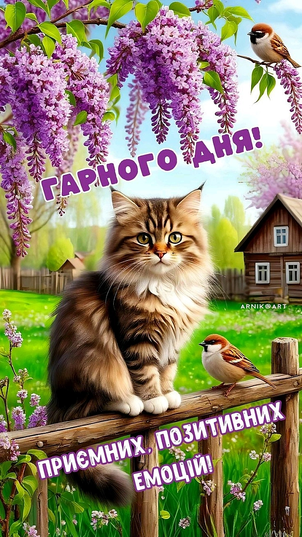 на we.ua