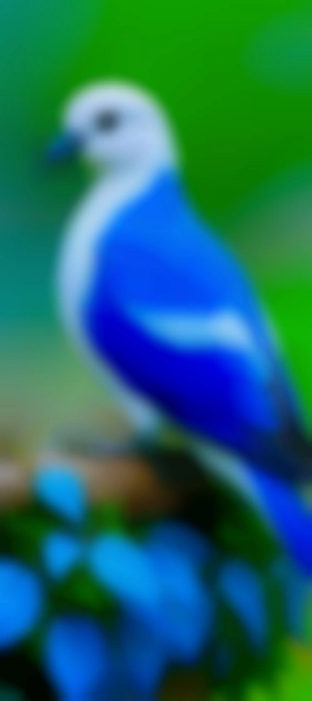 на we.ua