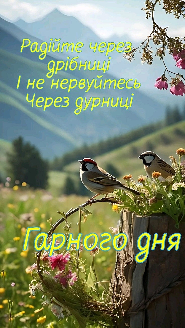 Сергій Фрешчепкін на we.ua