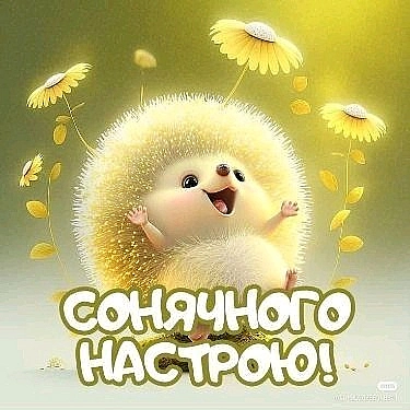 на we.ua