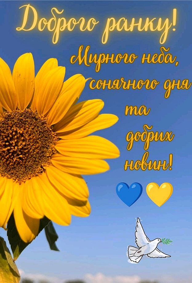 на we.ua
