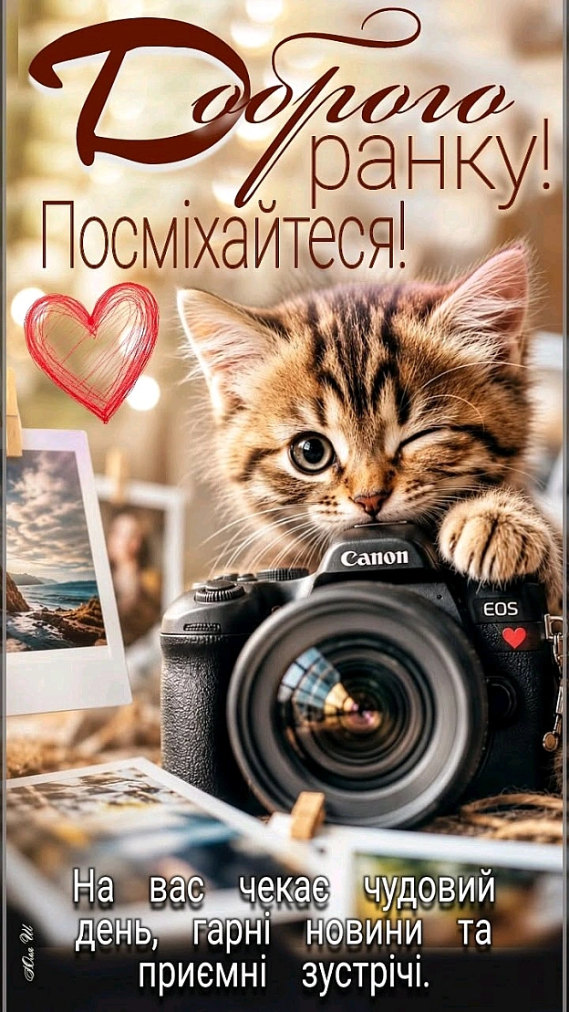 на we.ua