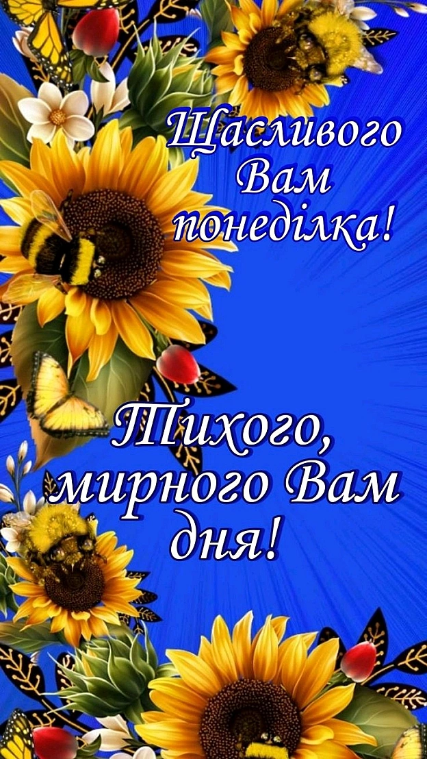 на we.ua