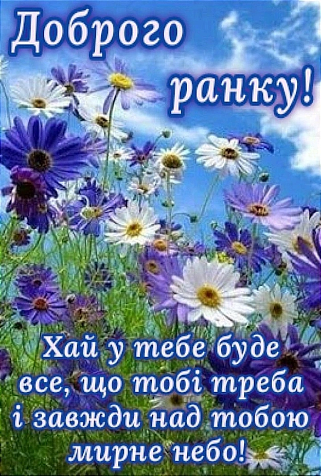 на we.ua