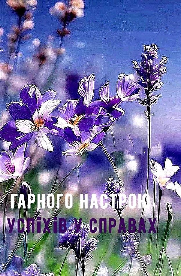 на we.ua