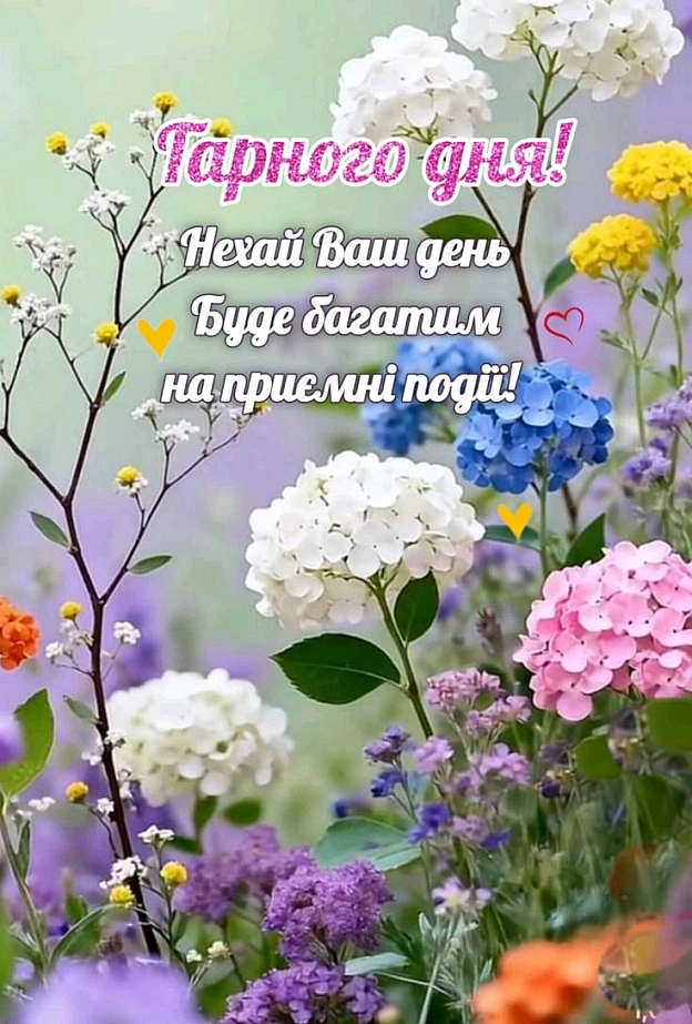 на we.ua