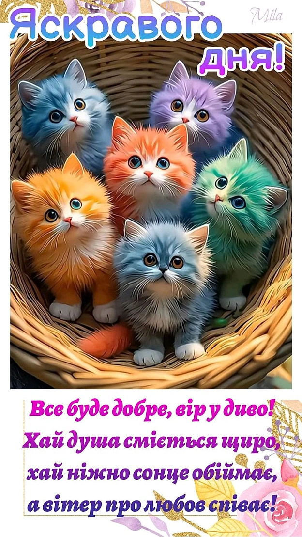на we.ua