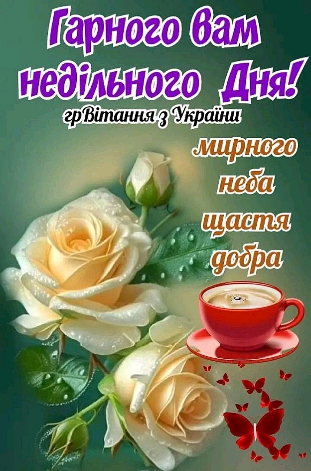 на we.ua