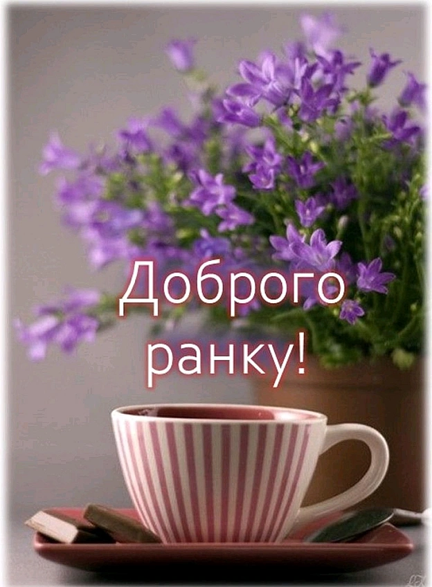 на we.ua