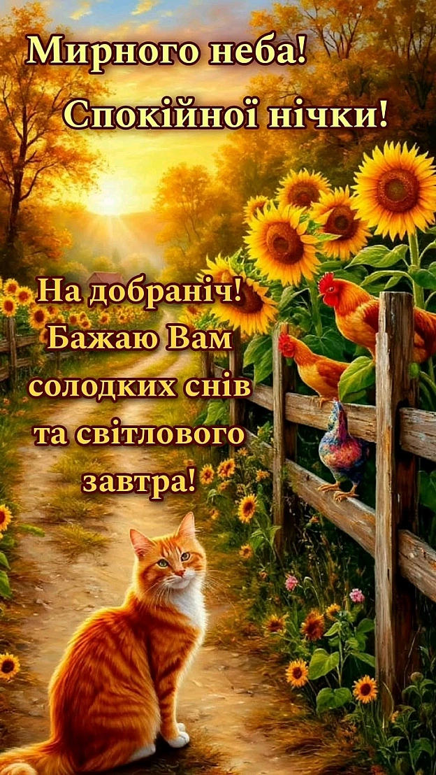 на we.ua