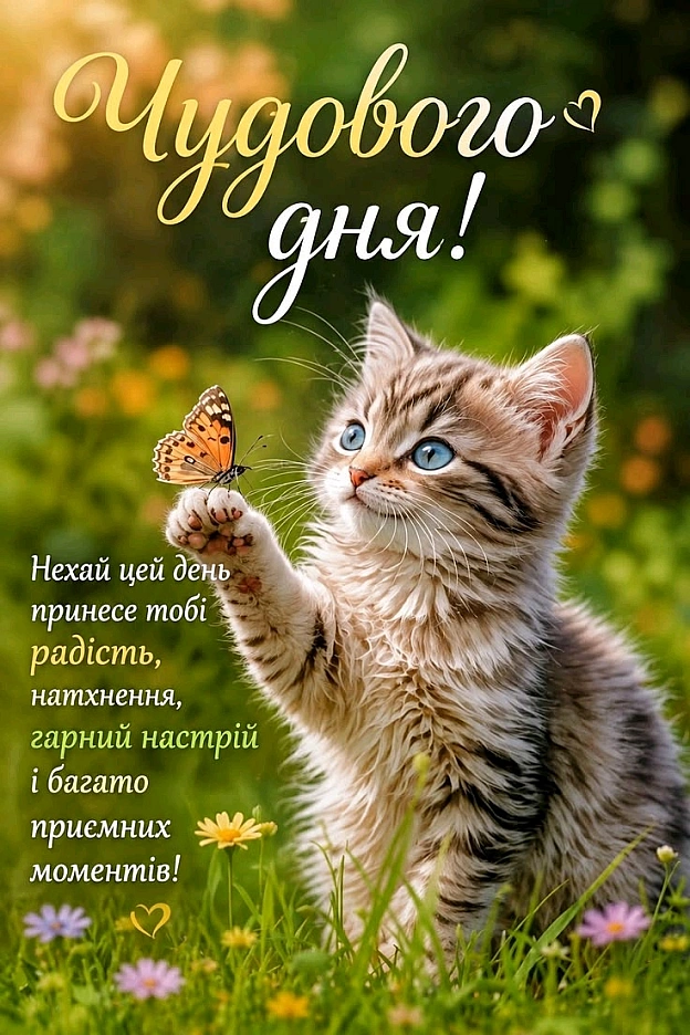 на we.ua
