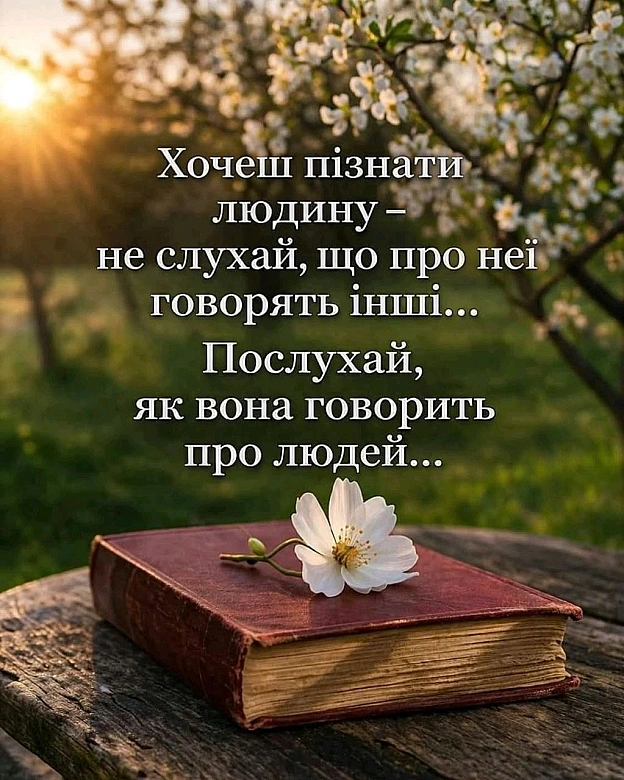 на we.ua