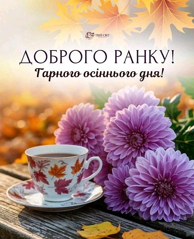 на we.ua