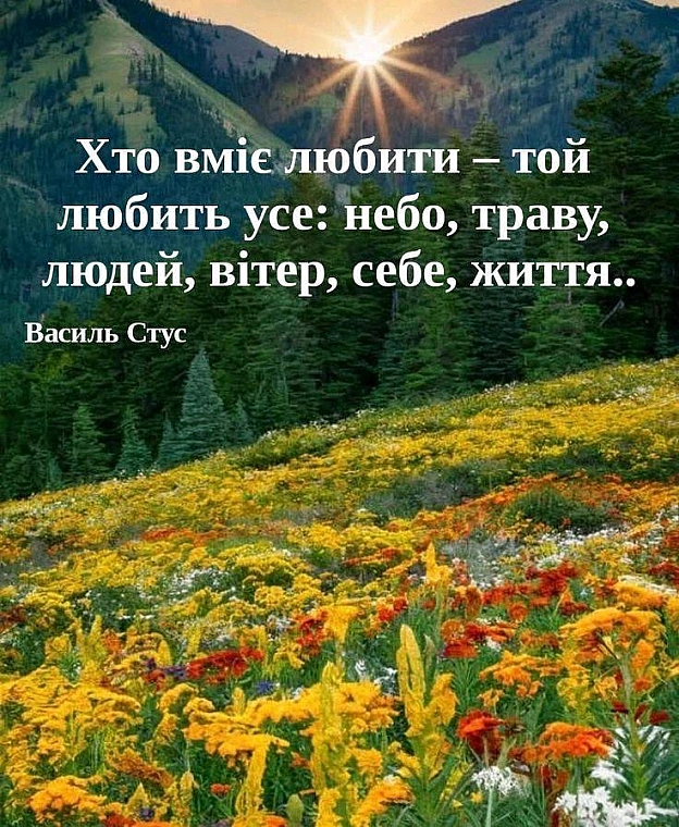 на we.ua