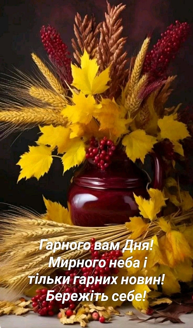 на we.ua