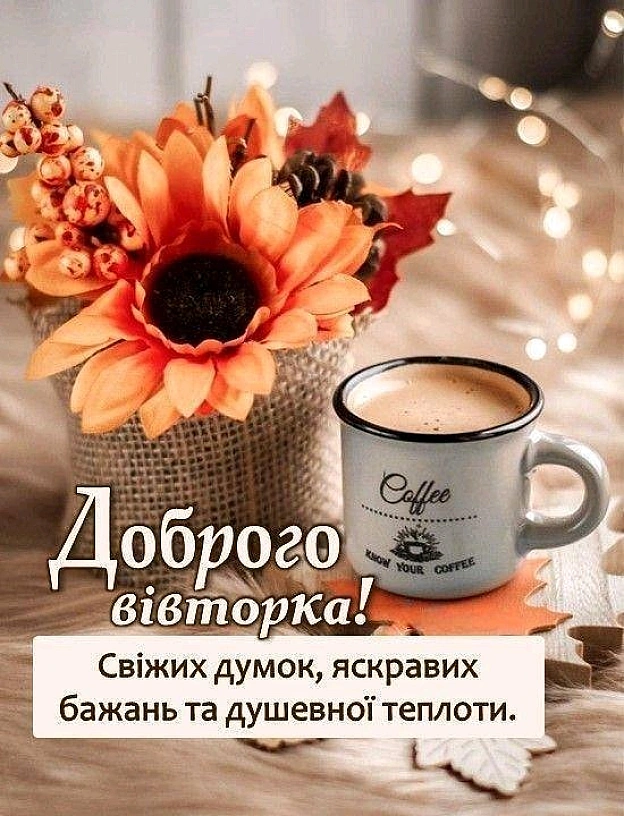на we.ua