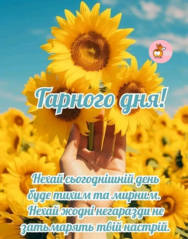 Сергій Фрешчепкін на we.ua